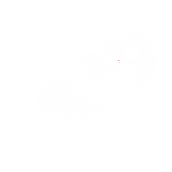 project icon gif